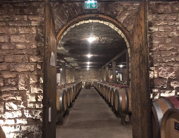 Burgund 2020 Vintage Report