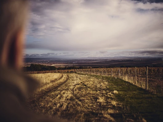Rioja Palacios