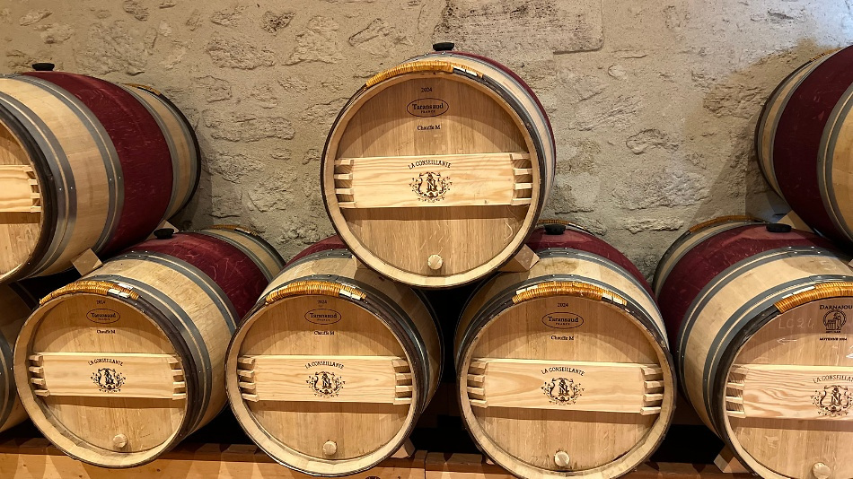 Bordeaux Chateau (950 x 534 px) (1)