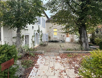 Burgundy 2023 Vintage Report
