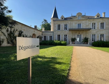 Bordeaux 2024 Vintage Report: «Who’ll Stop The Rain?»