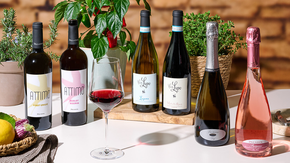 1208x679 Paladin Deguset