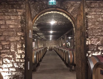 Burgundy 2020 Vintage Report
