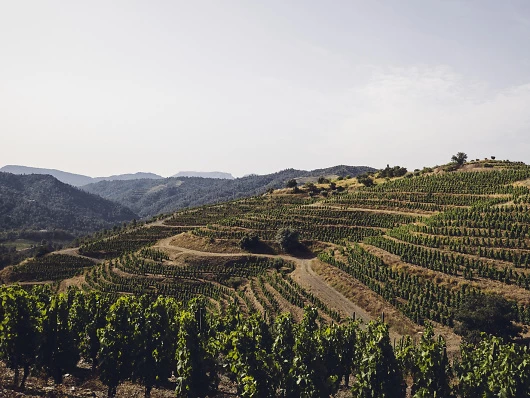 Palacios Priorat