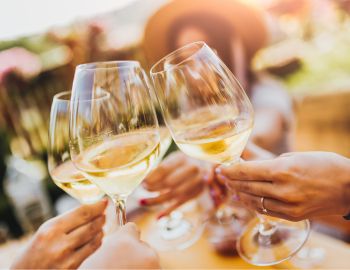 «Never Ending Summer Degu» – Filiale Hotel