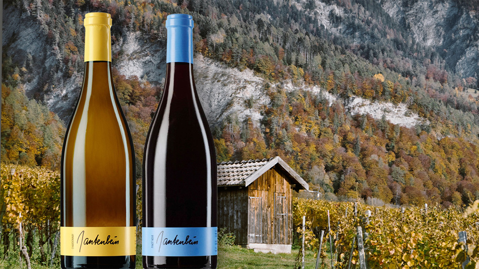 A Gantenbein wine evening for gourmets – Shop Regensdorf