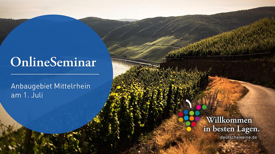 Wein.Entdecker.Wissen: Mittelrhein