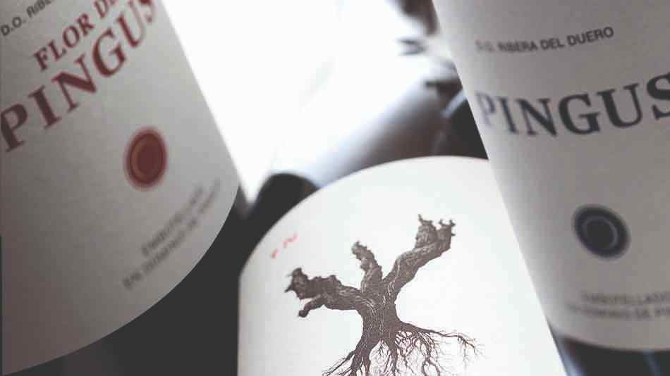 Pingus & Tatar – An evening for connoisseurs – Shop Regensdorf 