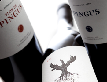 Pingus & Tatar – An evening for connoisseurs – Shop Regensdorf 