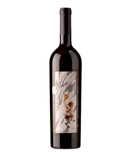 Sauvignon blanc