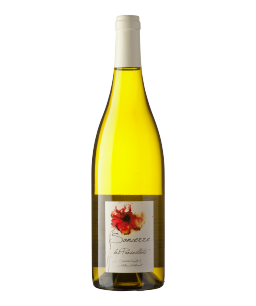 Sancerre - Les Panseillots