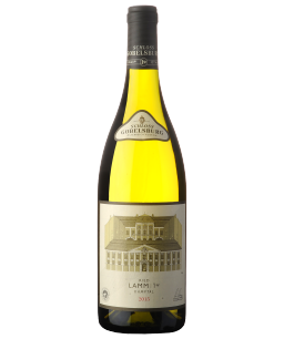 Ried Lamm 1. Lage Grüner Veltliner