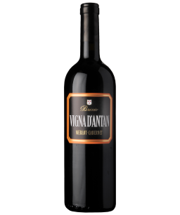Vigna d'Antan