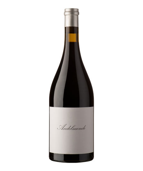 Shiraz Andelmonde