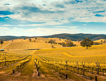 Adelaide Hills