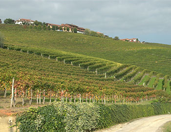 Cascina Morassino / R. & M. Bianco