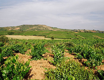 Castro Ventosa S