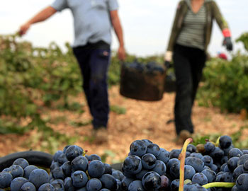 Bodegas Campos Reales