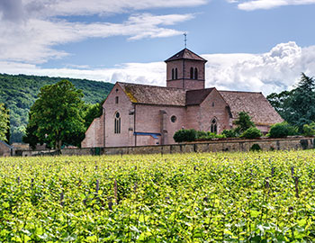 Cote de Nuits S