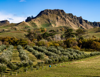 Hawkes Bay
