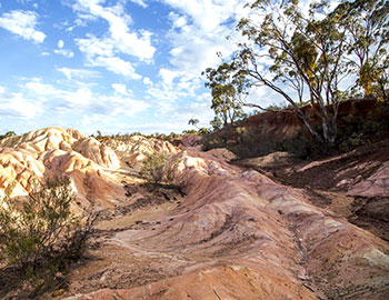 Heathcote S