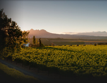 Neu! De Toren bei Baur au Lac Vins