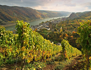 Mittelrhein S
