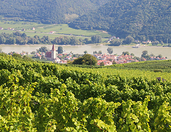 Niederoesterreich S