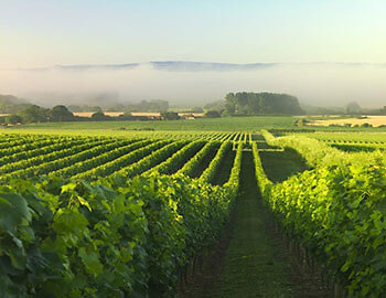 Nyetimber S