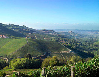 Paolo Conterno S