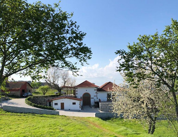 Quinta da Lomba