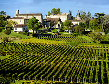 Saint Emilion S