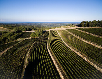 Sette Cieli Toscana