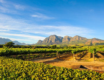 suedafrika S