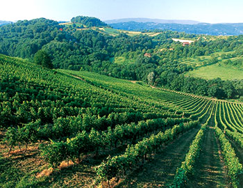 Suedsteiermark S