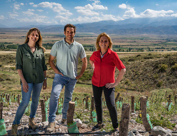 Susana Balbo Wines