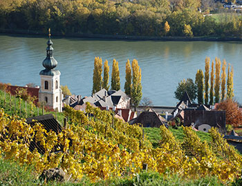 Wachau S